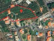 Moradia T3, São Martinho, Funchal | BPI Expresso Imobiliário