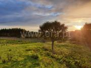 Moradia T3, Salir de Matos, Caldas da Rainha | BPI...