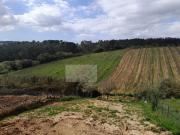 Moradia T3, Salir de Matos, Caldas da Rainha | BPI...