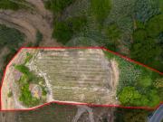 Moradia T3, Santa Cruz Do Douro e São Tomé de Covelas,...