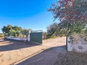 Moradia T3+1, Santo Aleixo, Monforte | BPI Expresso...