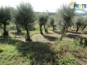 Moradia T3, Sertã, Sertã | BPI Expresso Imobiliário