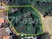 Moradia T3 + T1 com Armazém e Terreno