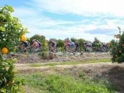 Moradia T3, Tavira Santa Maria e Santiago, Tavira | BPI...