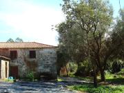 Moradia T3 + Terreno em Forjães