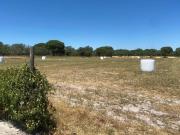 Moradia T3, Torrão, Alcácer do Sal | BPI Expresso...