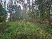 Moradia T3, Torres Vedras São Pedro e Santiago e Santa...