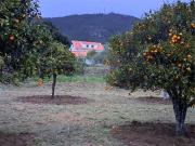 Moradia T5, Vale de Prazeres e Mata Da Rainha, Fundão |...