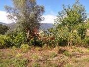 Moradia T3, Ventosa e Cova, Vieira do Minho | BPI...