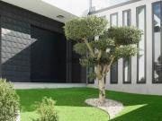 Moradia T4+1 Isolada com Piscina Aquecida | Palmeira, Braga