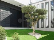 Moradia T4+1 Isolada com Piscina Palmeira, Braga