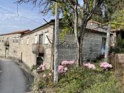 Moradia T4 a restaurar com grande jardim