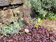 Moradia T4, Achada, N/Determinado | BPI Expresso Imobiliário