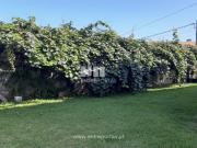 Moradia T4, Árvore, Vila do Conde | BPI Expresso Imobiliário