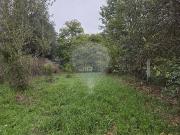 Moradia T4, Cabração e Moreira Do Lima, Ponte de Lima |...