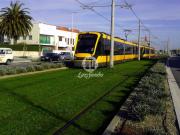 Moradia T4 em Póvoa de Varzim, Beiriz e Argivai