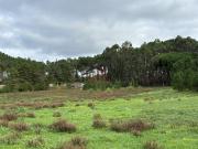 Moradia T4, Ericeira, Mafra | BPI Expresso Imobiliário