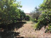 Moradia T4, Freixo de Espada À Cinta e Mazouco, Freixo...