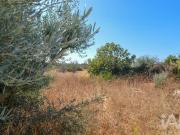 Moradia T4, Lagoa e Carvoeiro, Lagoa Algarve | BPI...