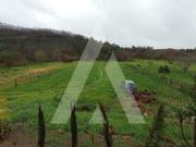 Moradia T4, Macinhata Do Vouga, Águeda | BPI Expresso...