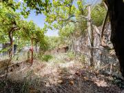 Moradia T4, Santo António Dos Olivais, Coimbra | BPI...