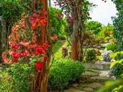 Moradia T4, Santo António, Funchal | BPI Expresso...