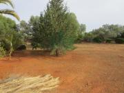 Moradia T4, Tavira Santa Maria e Santiago, Tavira | BPI...