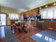 Moradia T4 térrea e isolada na zona do Cavaco, Santa...