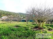 Moradia T4, Vila Franca, Viana do Castelo | BPI Expresso...