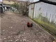 Moradia T5, Agualva e Mira Sintra, Sintra | BPI Expresso...