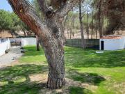 Moradia T5, Almancil, Loulé | BPI Expresso Imobiliário