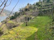 Moradia T5, Anreade e São Romão de Aregos, Resende | BPI...