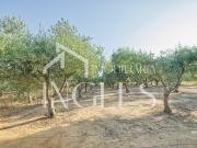 Moradia T5, Cartaxo e Vale Da Pinta, Cartaxo | BPI...