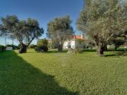 Moradia T5 de arquitetura clássica em Aradas