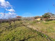 Moradia T5, Felgar e Souto Da Velha, Torre de Moncorvo |...