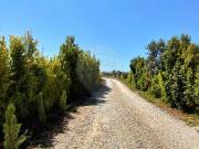 Moradia T5, Guia, Albufeira | BPI Expresso Imobiliário Moradia T5, Guia, Albufeira | BPI Expresso Imobiliário