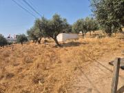 Moradia T5, Ourique, Ourique | BPI Expresso Imobiliário