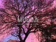 Moradia T5, Ovar, São João, Arada e São Vicente de...