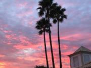 Moradia T5, Santa Bárbara de Nexe, Faro | BPI Expresso...