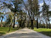 Moradia T5, Santo Isidoro, Mafra | BPI Expresso Imobiliário