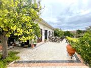 Moradia T5 Venda em São Lourenço do Bairro,Anadia