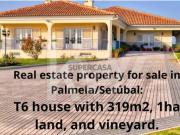 Moradia T6 com 319m2, terreno com 1ha e vinha Palmela /...