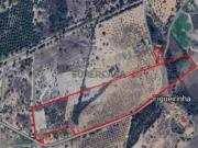 Moradia T6 em Ponte de Sor, Tramaga e Vale de Açor Moradia T6 em Ponte de Sor, Tramaga e Vale de Açor