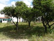 Moradia, Azeitão São Lourenço e São Simão, Setúbal | BPI...