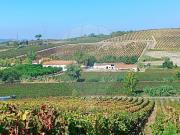 Moradia T8 à venda em Alenquer