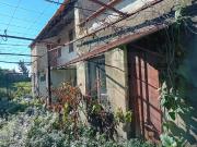 Moradia térrea em restauro Esgueira / Mataduços