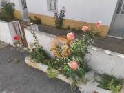 Moradia térrea isolada com furo com terreno de 600 m2...