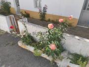 MORADIA TÉRREA ISOLADA COM FURO COM TERRENO DE 600 M2...