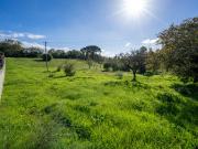 Moradia V4 à venda em Maceira, concelho de Leiria,...