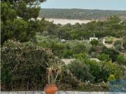 Moradia V6 com Piscina em Montargil